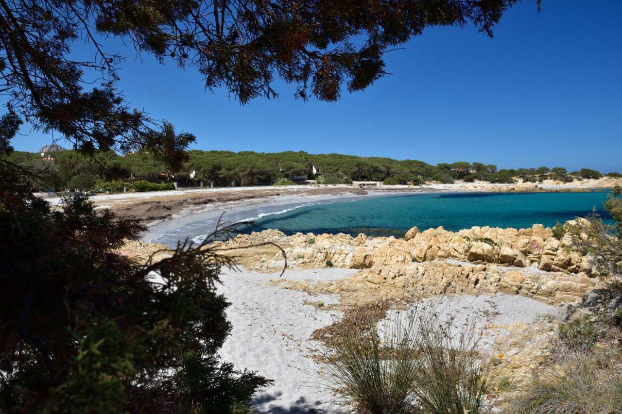Villa Arancio Cala Liberotto Eksteriør billede
