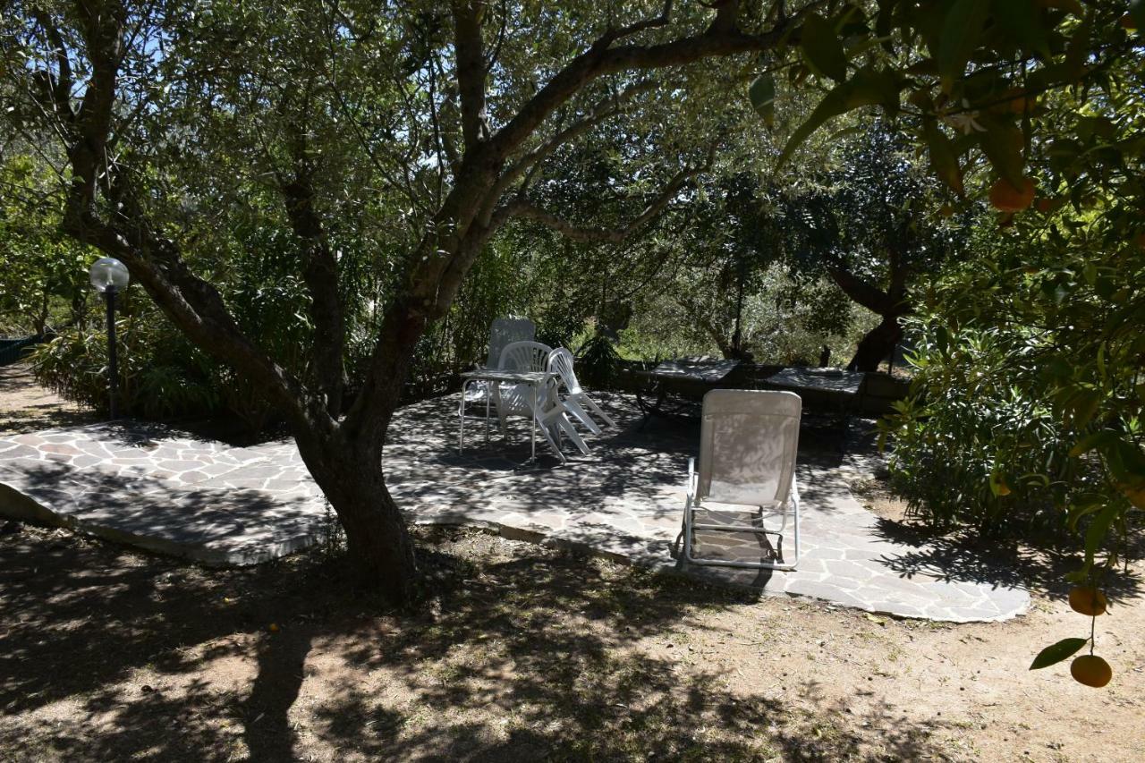 Villa Arancio Cala Liberotto Eksteriør billede